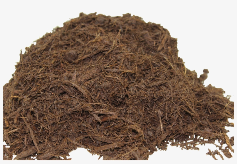 Color Enhanced Hardwood Bark - Nilgiri Tea, transparent png