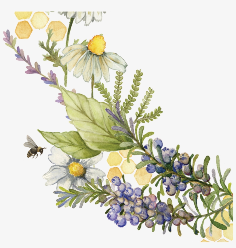 Close-up1, transparent png