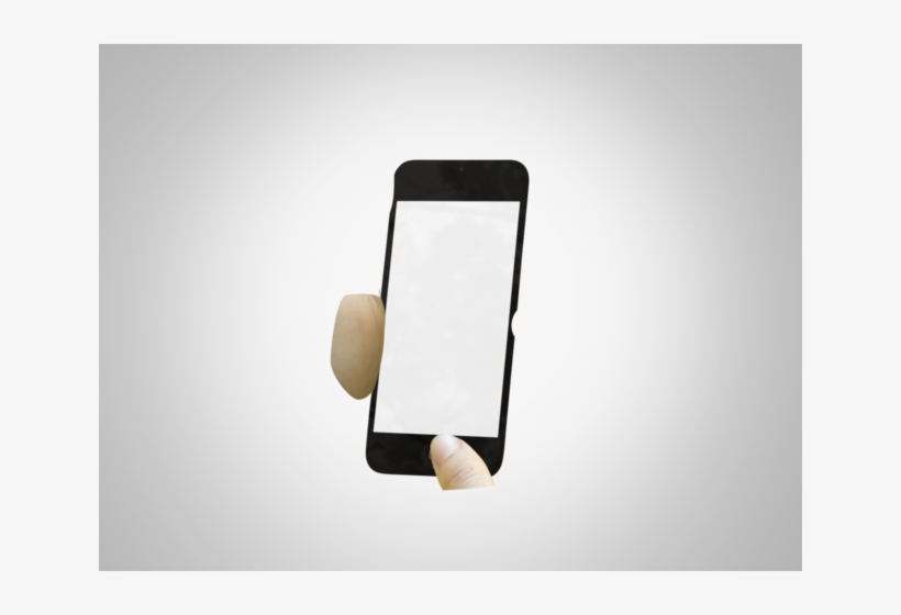 Still Life Photography, transparent png