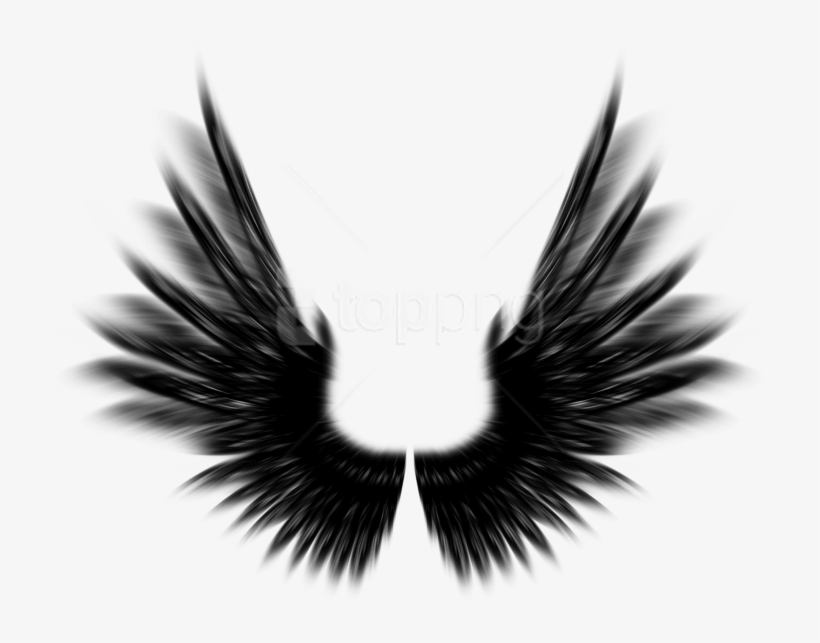 Free Png Shield With Wings Png Png Image With Transparent - Meg Masters Fan Art, transparent png