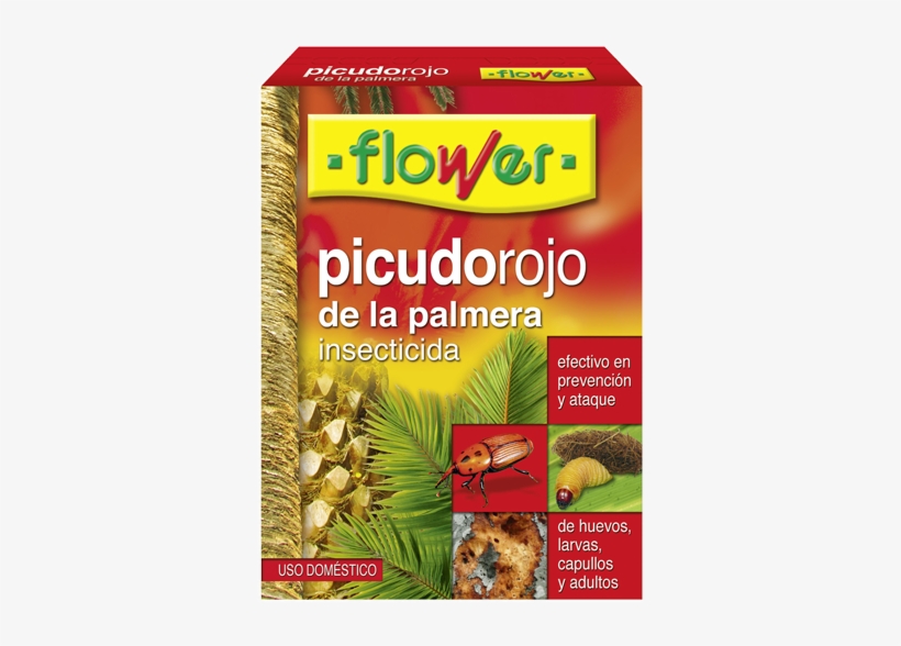 Picudo Rojo Palmera - Mineuse Des Agrumes Traitement, transparent png