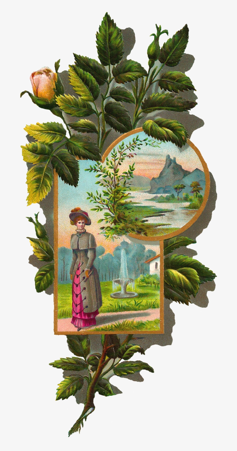 Rose Frame Clip Art - Gambel Oak, transparent png