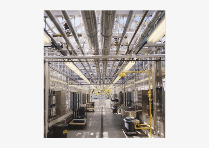 Cornell Greenhouse - Ceiling, transparent png