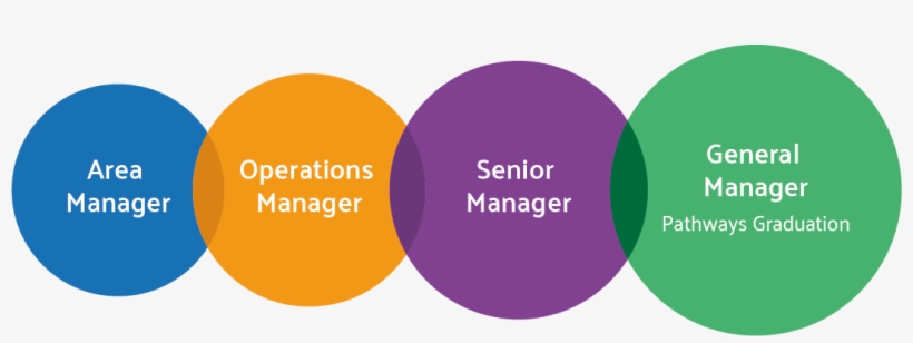 Your Fast Track To Senior Management - Circle, transparent png