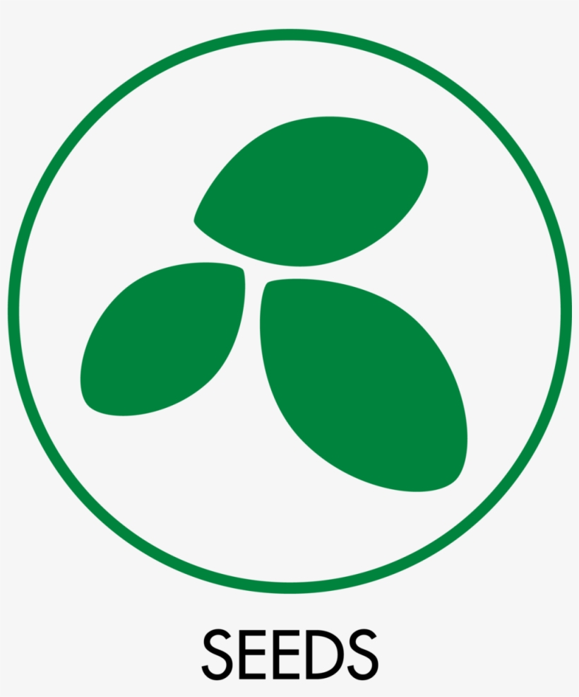Circle, transparent png