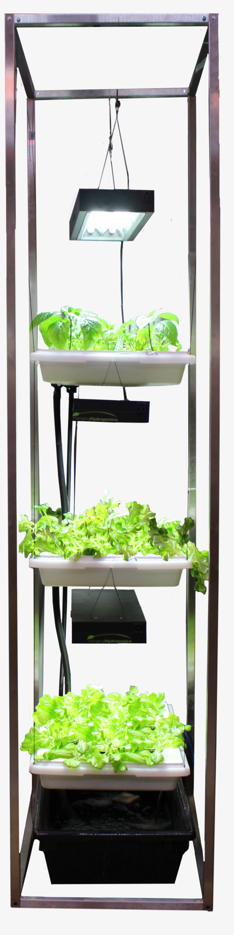 Hanging Hydroponics® - Leaf Vegetable, transparent png