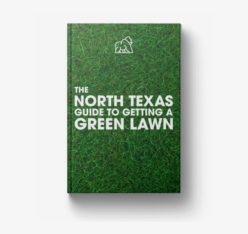 The North Texas Guide To Getting A Green Lawn - Green Party Of Canada, transparent png