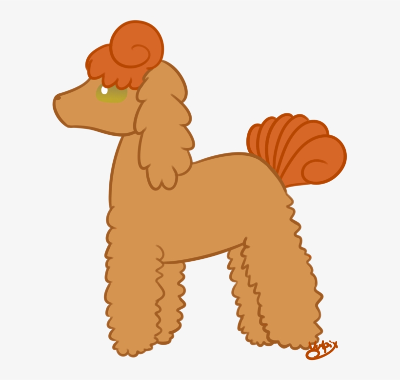 Vulpix Daily - Standard Poodle, transparent png