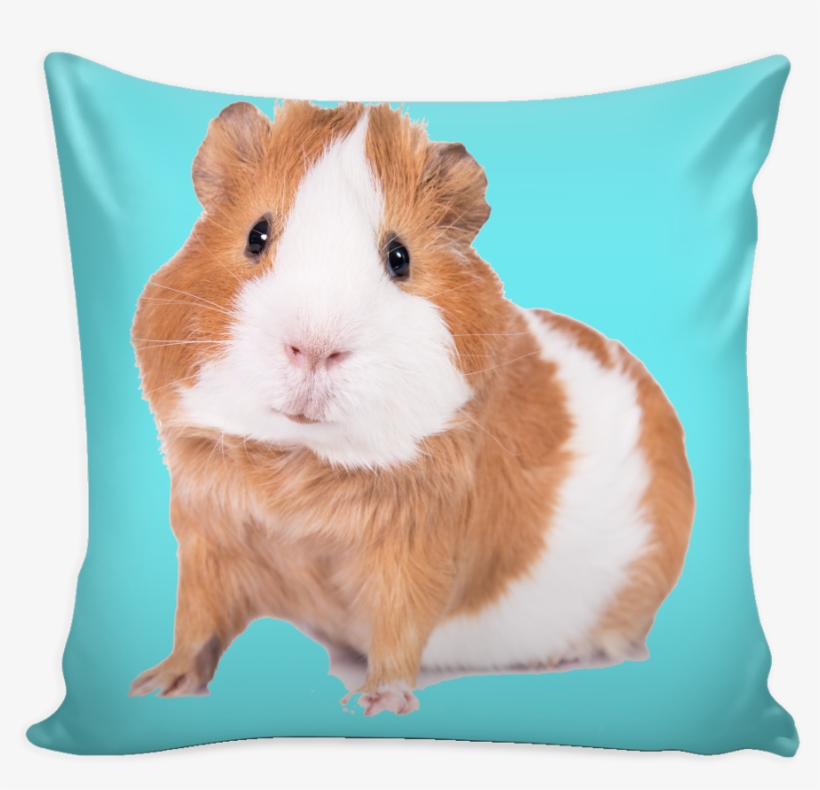 Pillow, transparent png