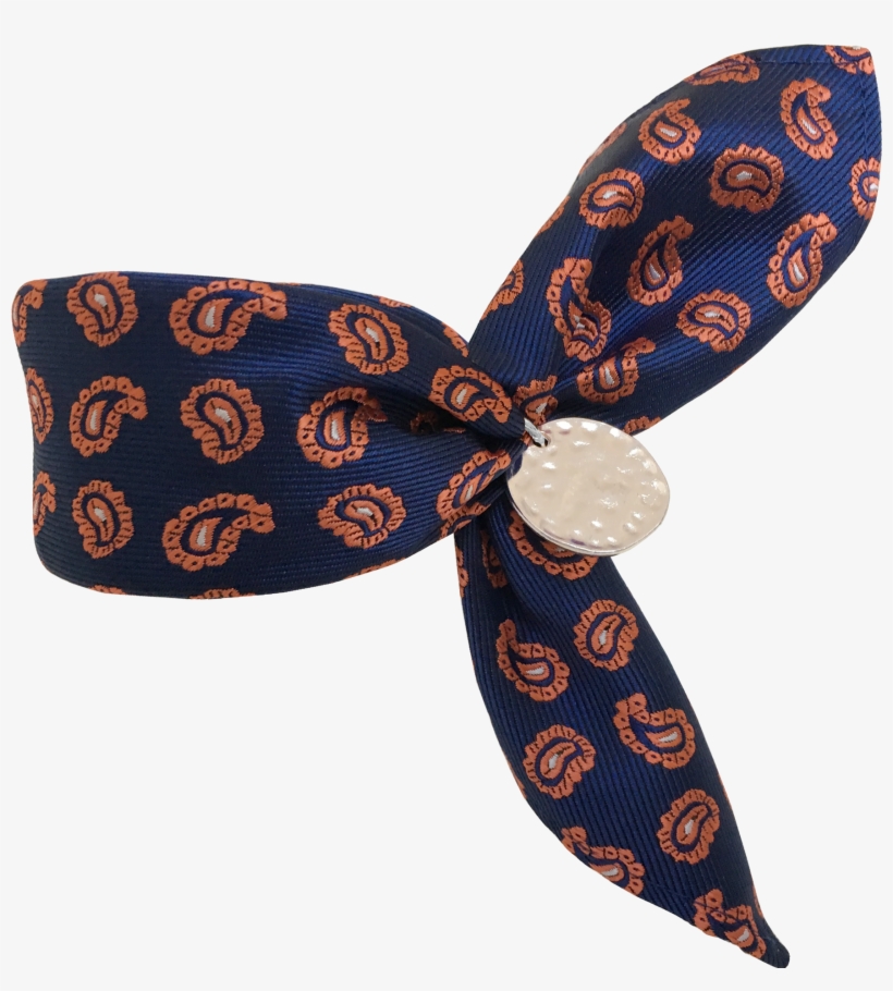 Sully - Paisley, transparent png