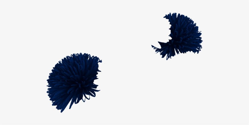 Navy - Silhouette, transparent png