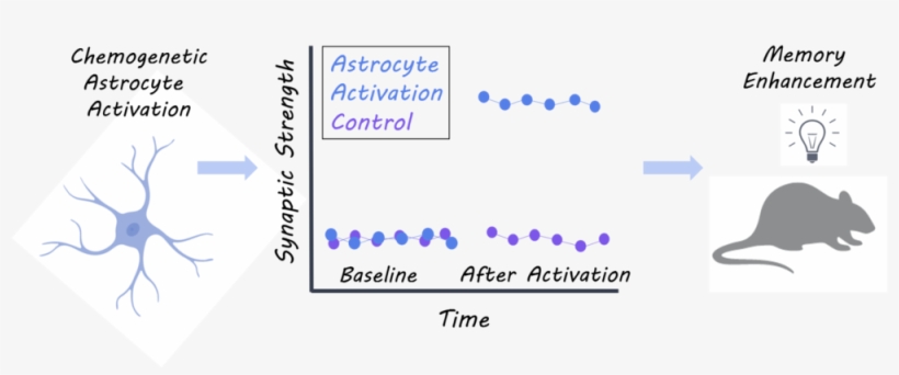 Astro1800 - Darkness, transparent png