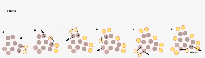 Circle, transparent png