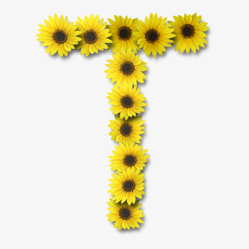 588 X 738 10 - Letter T With Sunflower, transparent png
