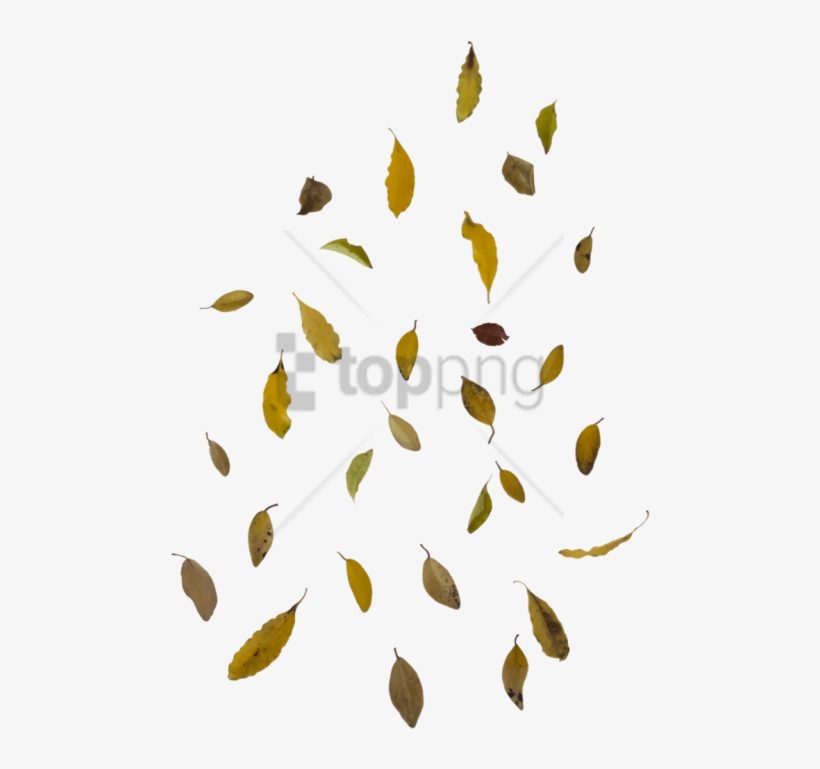 Free Png Falling Leaf Overlay Png Image With Transparent - Transparent Overlay Autumn, transparent png