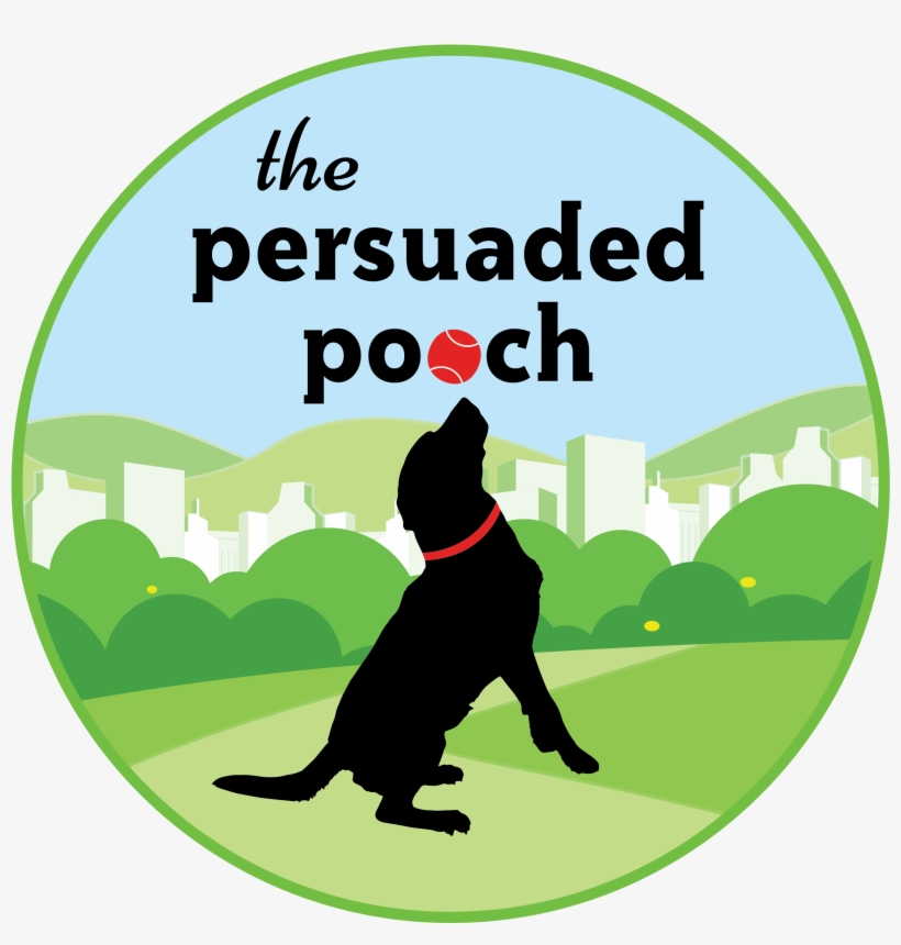 St Louis Mo Dog Training And Dog Training Classes - Dog Catches Something, transparent png