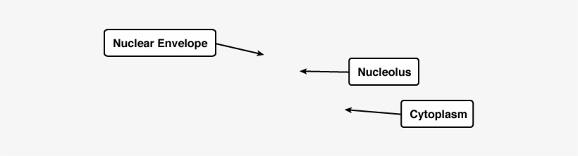 Diagram, transparent png