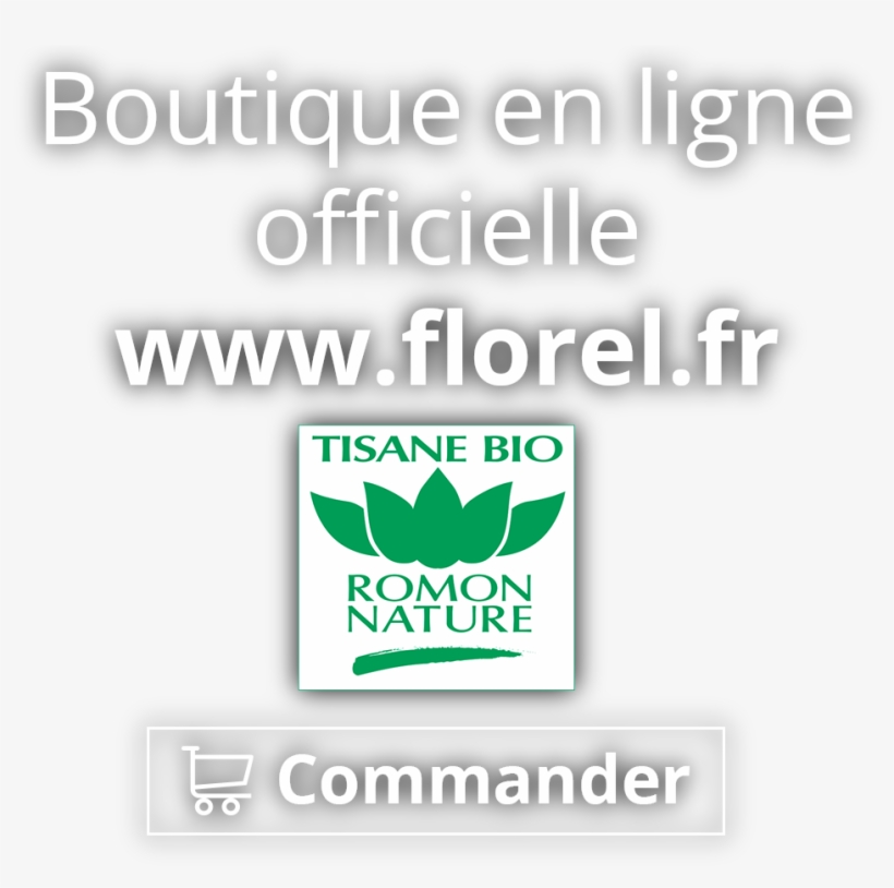 Poursuivre - Nature, transparent png