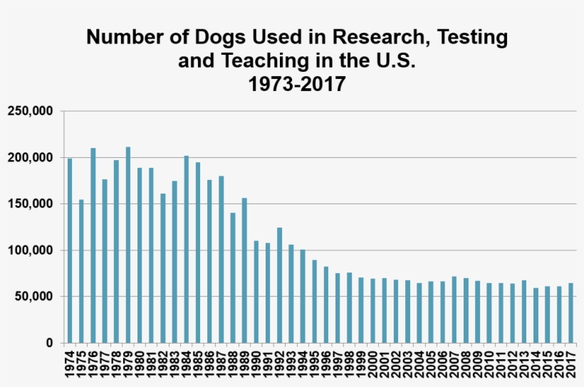 Are Estimated To Be Used In Pharmaceutical Testing, - Use Of Dogs And Cats In Biomedical Research, transparent png