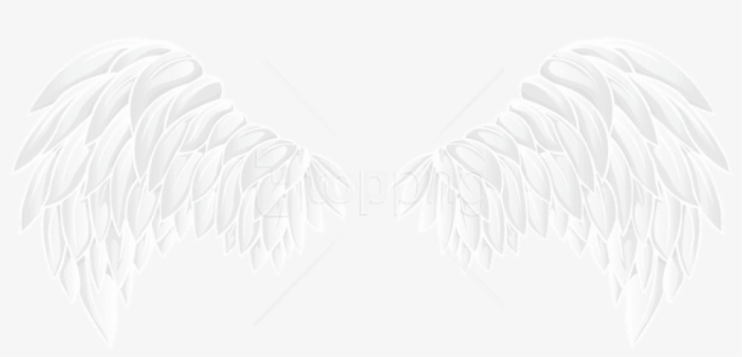 Free Png White Wings Png Images Transparent - White Wings Png, transparent png