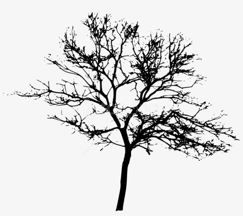 Free Png Tree Silhouette Png Images Transparent - Tree Silhouette Transparent Background, transparent png