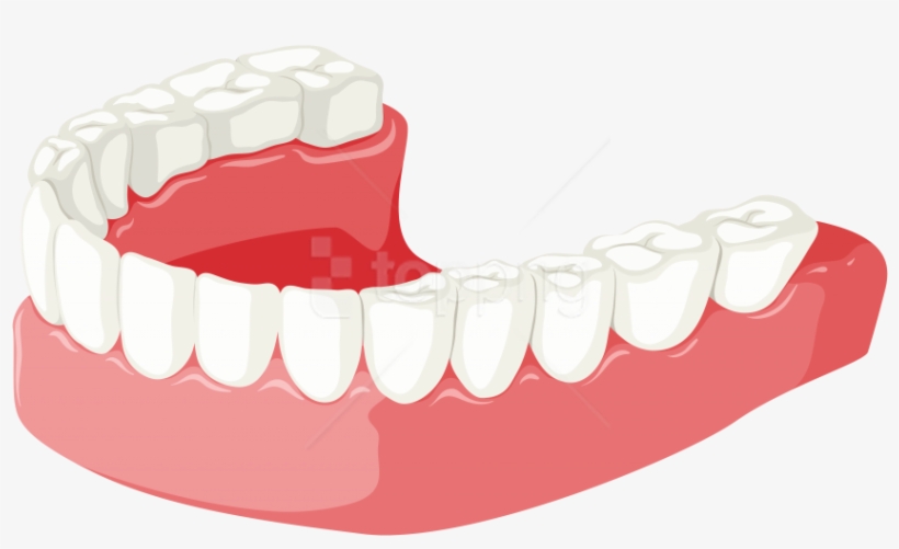 Free Png Download Lower Jaw Clipart Png Photo Png Images, transparent png