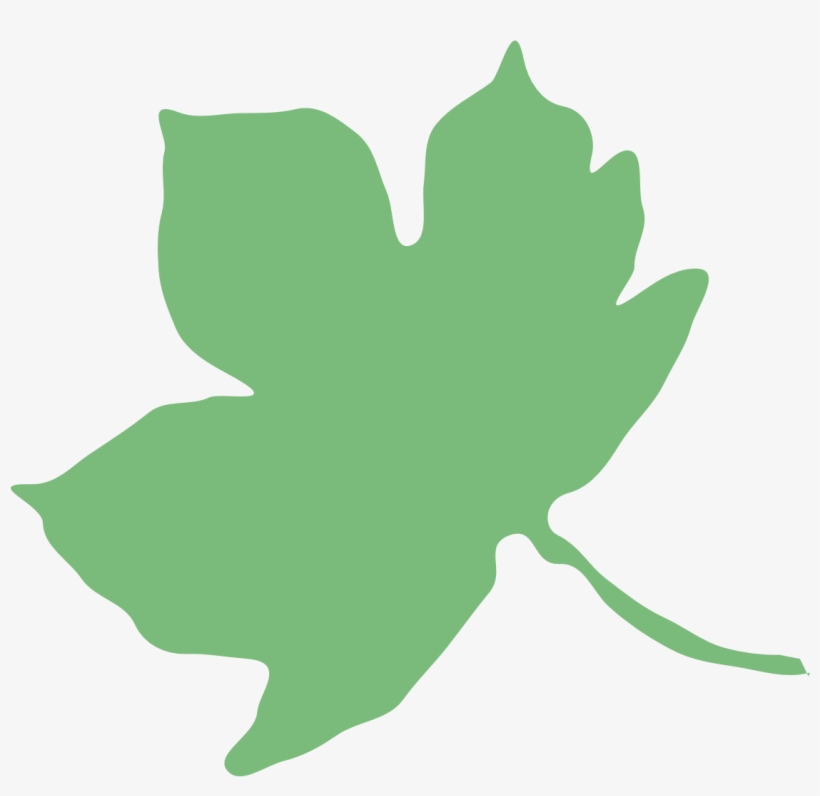 Forest School Handbook, transparent png