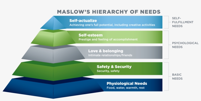 They Do Want To Know What Happened And Whether The - Christmas Tree, transparent png