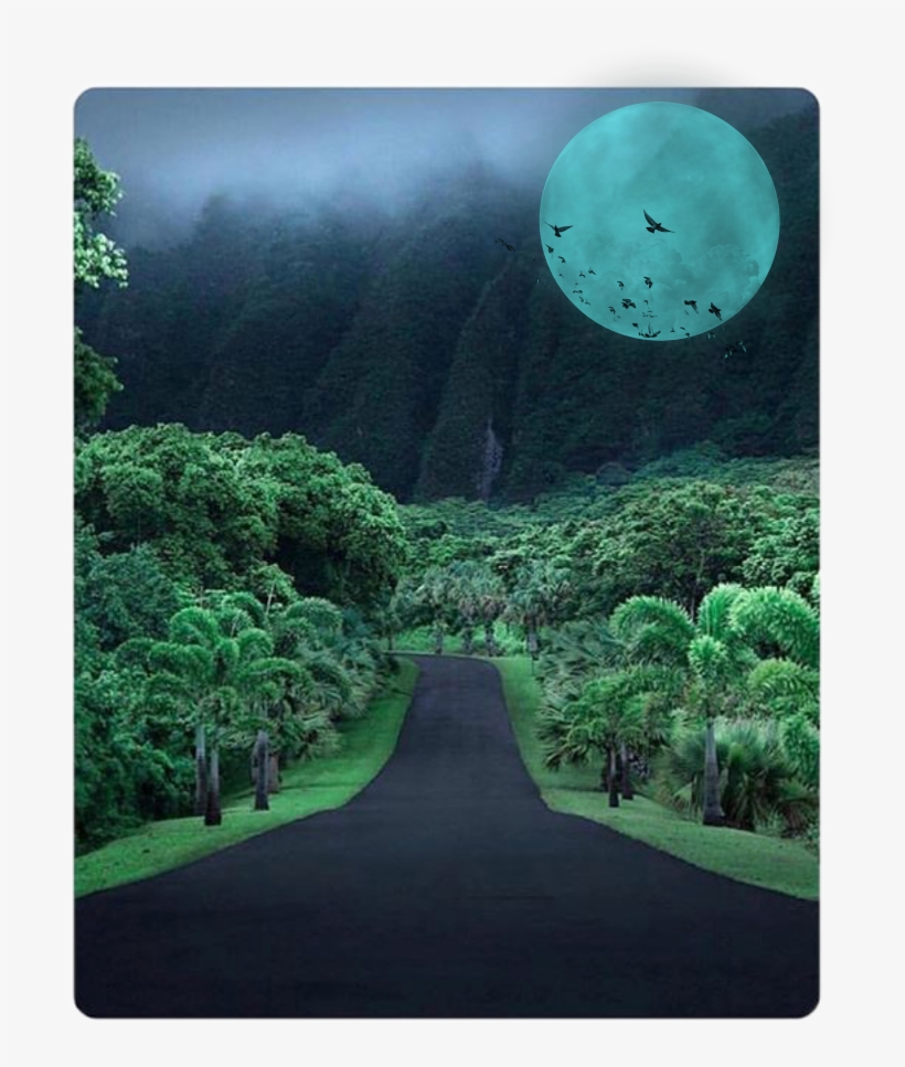 Wood Sticker - Koolau Mountains, transparent png