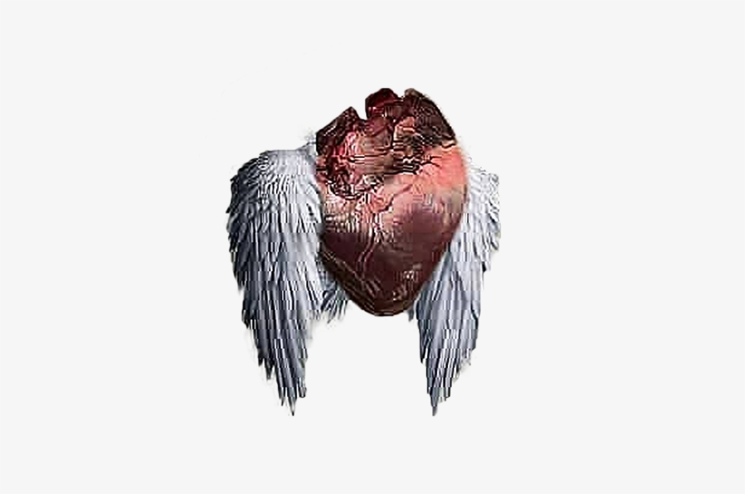 Flying Heart Png Heartless Editing Png - Heartless Editing Png, transparent png