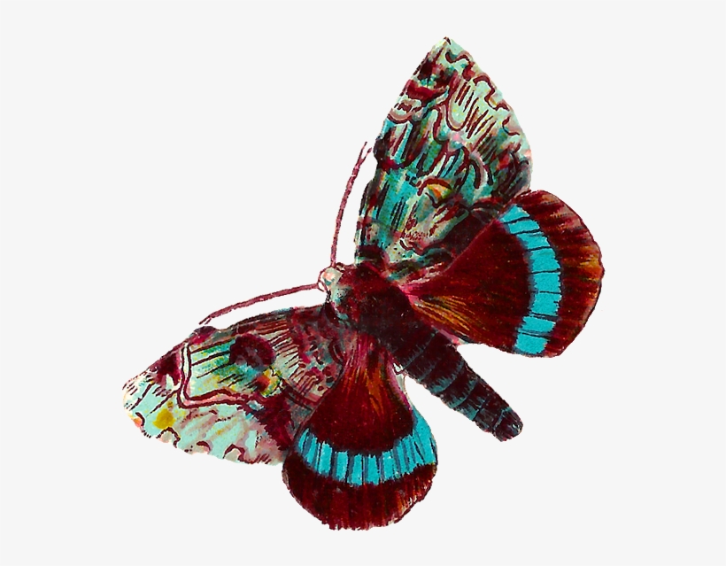 Blue Butterfly Clip Art - Digital Butterfly Png, transparent png