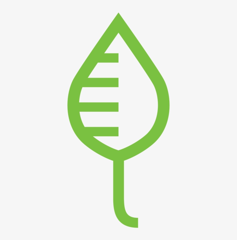 Leaf 31kb, transparent png