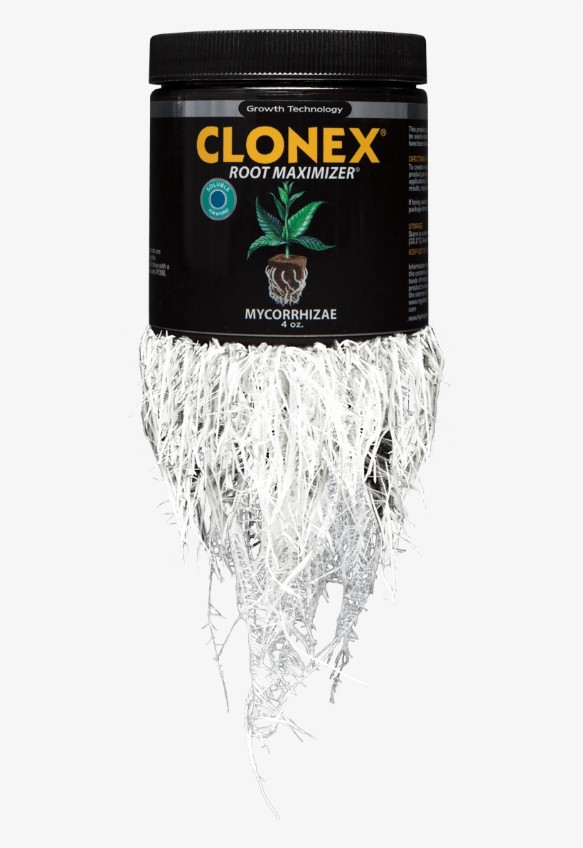 Underpants, transparent png