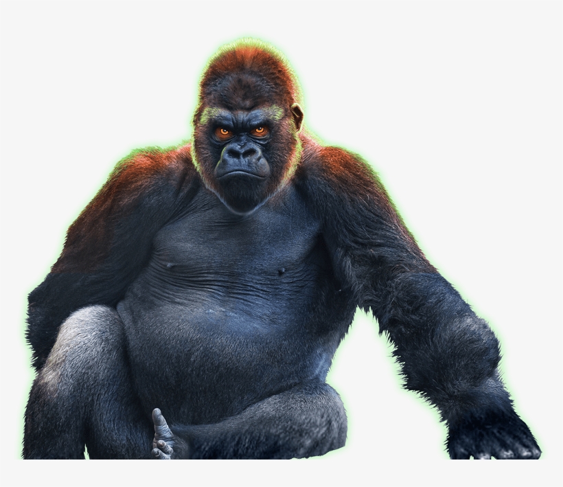 Epic Ape, transparent png