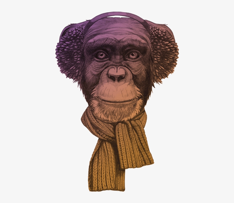 Ape Thinker's Ventures Background - Monkey With Scarf, transparent png