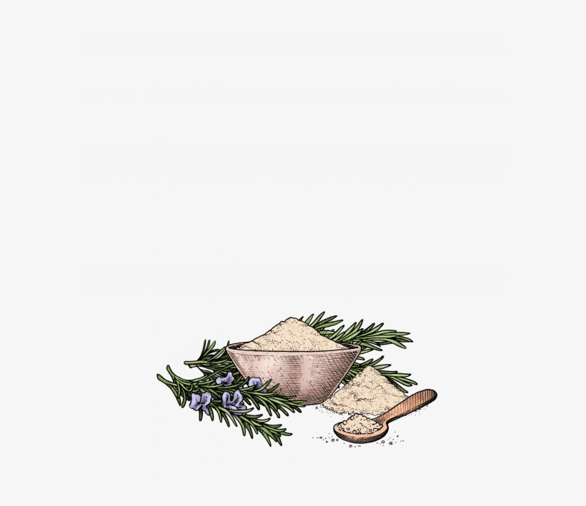 Rosemary Sea Salt - Sitka Spruce, transparent png