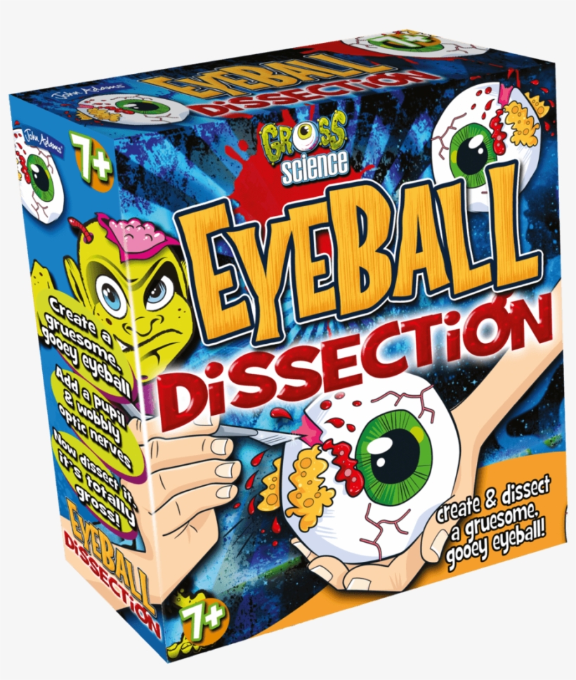 Eyeball Dissectiont Box Left - Eyeball Dissection Gross Science, transparent png