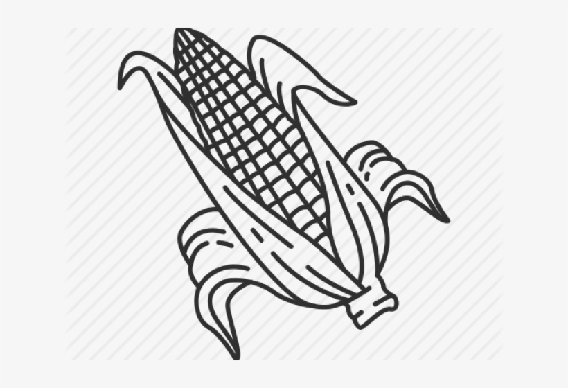 Drawn Corn Corn Stalk - Illustration, transparent png