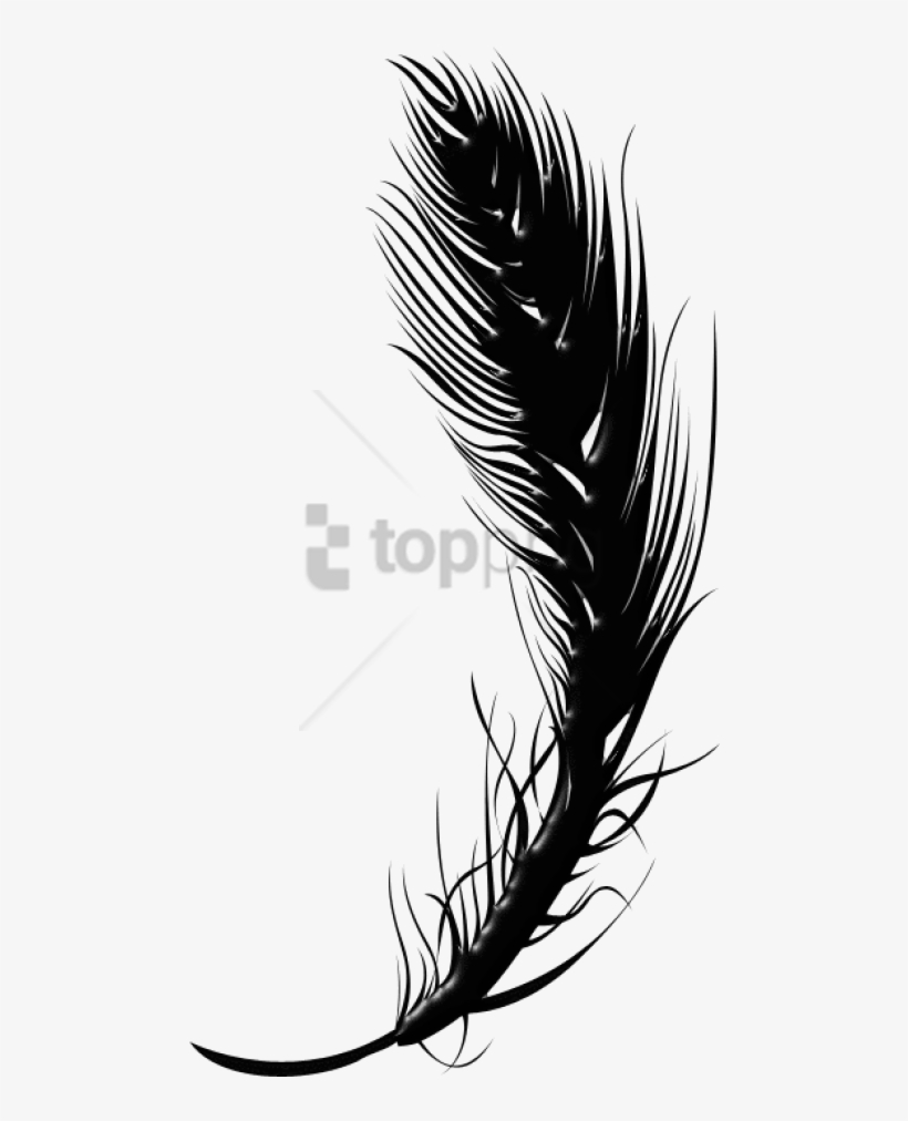 Free Png Black Feather Pen Png Image With Transparent - Black Transparent Feather Png, transparent png