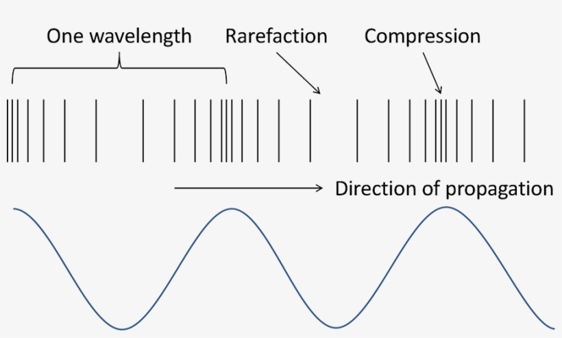 Anatomy Of A Soundwave - Anatomy Of A Sound Wave, transparent png