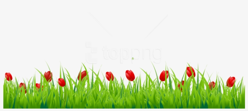 Free Png Grass Png Images Transparent - Grass Photos For Editing, transparent png