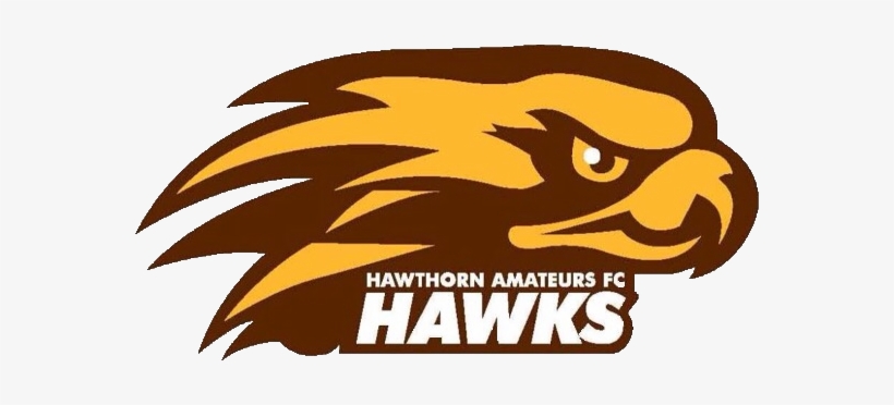 Saint Joseph's Rugby, transparent png