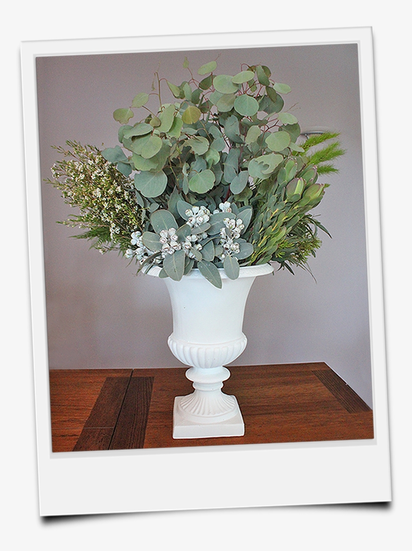 2017 Willow Tree Creative Services - Garden Roses, transparent png