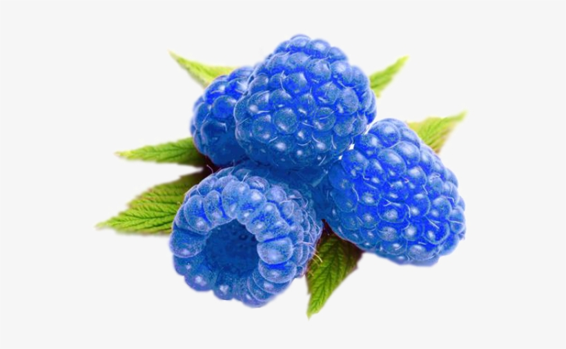 Download Transparent Raspberries Clipart Cute Blue Raspberry PNGkit