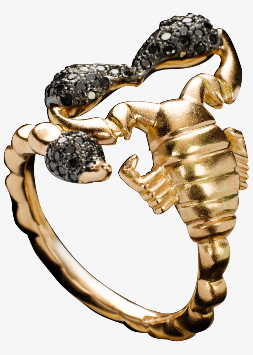 To Go With The Scorpions At Our House Scorpion Diamond, transparent png