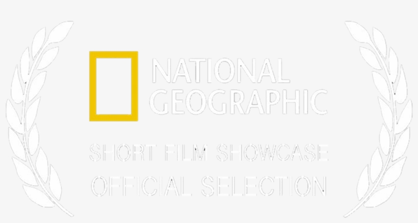 Natgeosfsfinal3 - Logo De National Geographic Png, transparent png