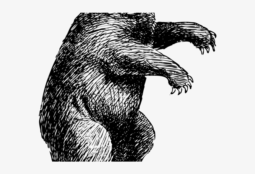Black Bear Clipart Mean Bear - Standing Bear Art, transparent png