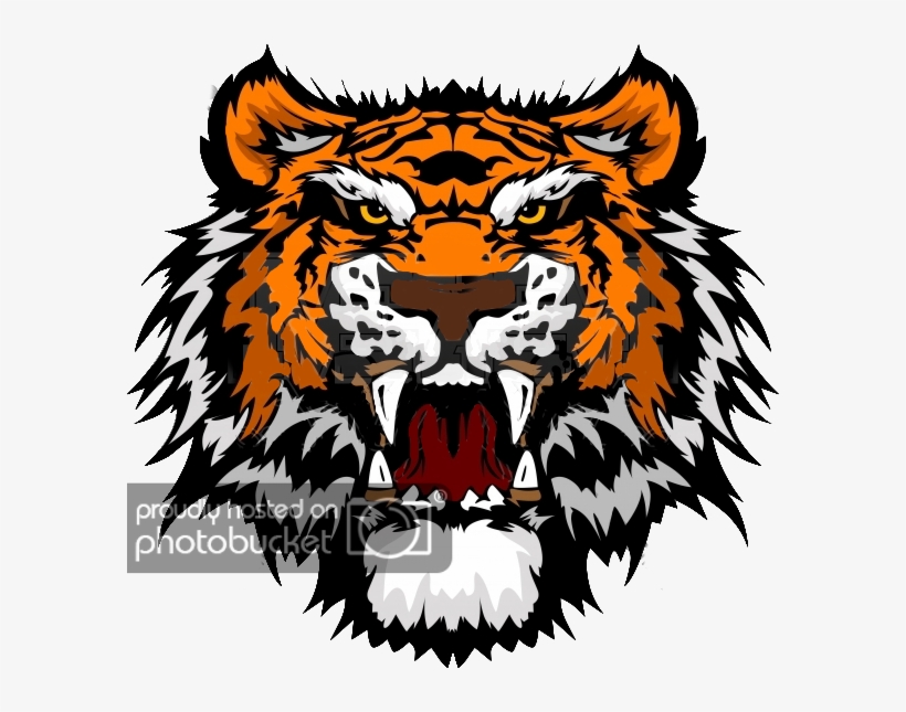 Tiger Head Png, transparent png