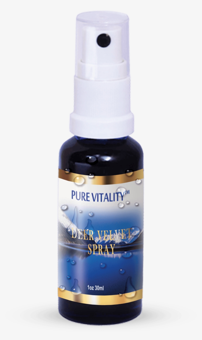 Deer Antler Spray - Ink, transparent png