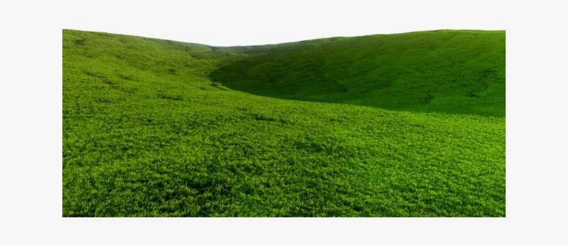 hill clipart grass mound grass hill transparent background 640x480 png download pngkit hill clipart grass mound grass hill